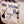 DV Mark Little Jazz Combo