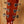 Eastman AC422CE
