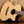 Eastman AC422CE