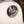 Gibson Custom Shop Les Paul Custom Ebony Fingerboard Alpine White