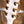 Gibson Custom Shop Les Paul Custom Ebony Fingerboard Alpine White