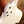 Ibanez ICHI10 Vintage White Matte