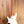 Ibanez ICHI10 Vintage White Matte