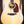 Eastman E8D