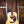 Eastman E8D