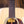 Eastman E8D