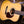 Eastman E8D