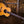 Eastman PCH2-TG Natural