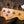 Fender Custom Shop '63 Precision Bass Journeyman Relic