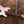 Suhr Mateus Asato Shell Pink PRE-ORDER June 2024