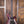 PRS Wood Library Custom 24 
