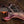 PRS Wood Library Custom 24 