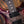 PRS Wood Library Custom 24 