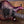 PRS Wood Library Custom 24 