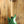 Sire Marcus Miller V7 2nd Gen Ash Sherwood Green