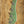 Sire Marcus Miller V7 2nd Gen Ash Sherwood Green