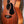 Maton EBW808 Blackwood