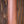 Maton EBW808 Blackwood