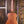 Maton EBW808 Blackwood