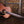 Maton EBW808 Blackwood