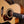 Maton EBG808 TEC Tommy Emmanuel Cutaway