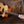Maton EBG808 TEC Tommy Emmanuel Cutaway