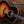 Taylor 417e-R