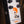 Warm Audio Warmdrive Overdrive