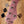 Sire Marcus Miller V7 2nd Gen Alder 5-String Burgundy Mist