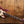 Sire Marcus Miller V7 2nd Gen Alder Burgundy Mist