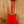 Eastman T486-RD