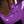 Ibanez LB1 Lari Basilio Signature Violet