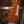 Ibanez LB1 Lari Basilio Signature Violet