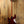 Sire Marcus Miller V10+ S4/TS