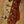 Sire Marcus Miller V10+ S4/TS
