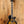 Epiphone Prophecy Olive Tiger Aged Gloss