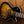 Epiphone Prophecy Olive Tiger Aged Gloss