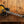 Epiphone Prophecy Olive Tiger Aged Gloss
