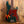 Sandberg California II VT 4-S Masterpiece Aged Color Over Color