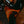 Sandberg California II VT 4-S Masterpiece Aged Color Over Color