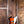 Epiphone Thunderbird 60s Bass