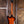 Epiphone Thunderbird 60s Bass