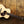 Eastman ACTG2E