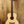 Eastman ACTG1