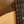 Eastman ACTG1