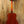 Eastman ACTG1