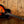 Martin CEO-7 Sunburst