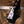 Suhr Standard Legacy Suhr Trans Caramel PRE-ORDER