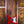 Epiphone Newport Bass Cherry