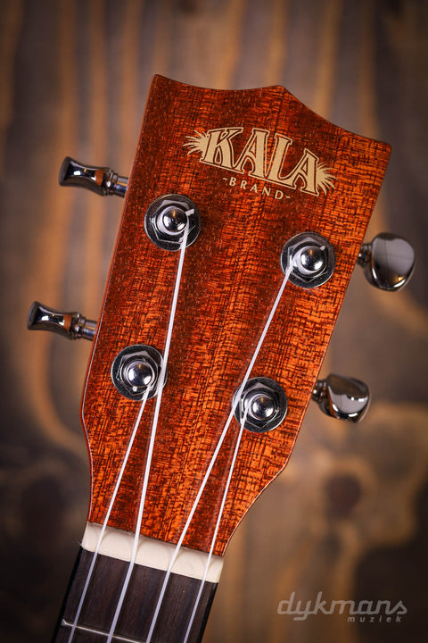 Kala Concert Ukulele Solid Top Spruce Gloss